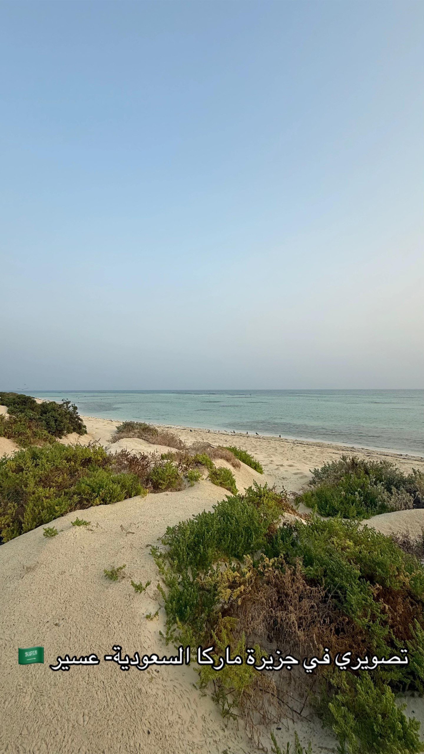 جزيرة ماركا السياحيه