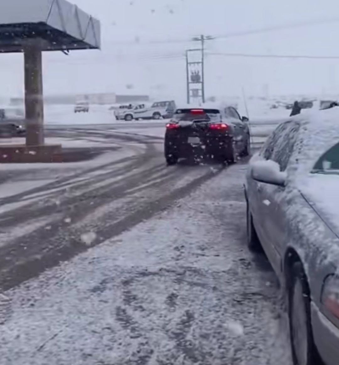 حياة الشتاء الشمالي: ثلج ودفء