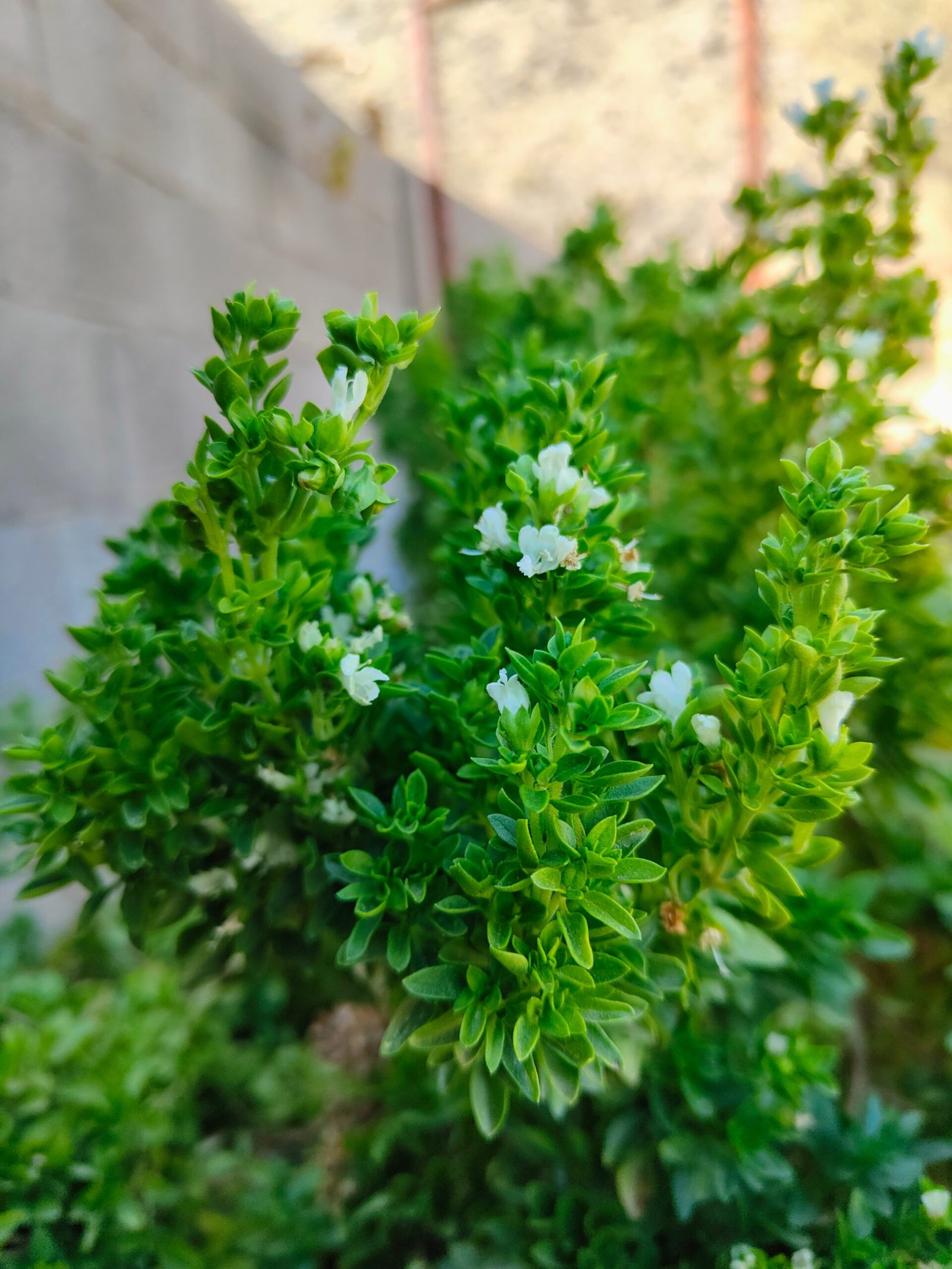 اجمل ما قرأت في القصص