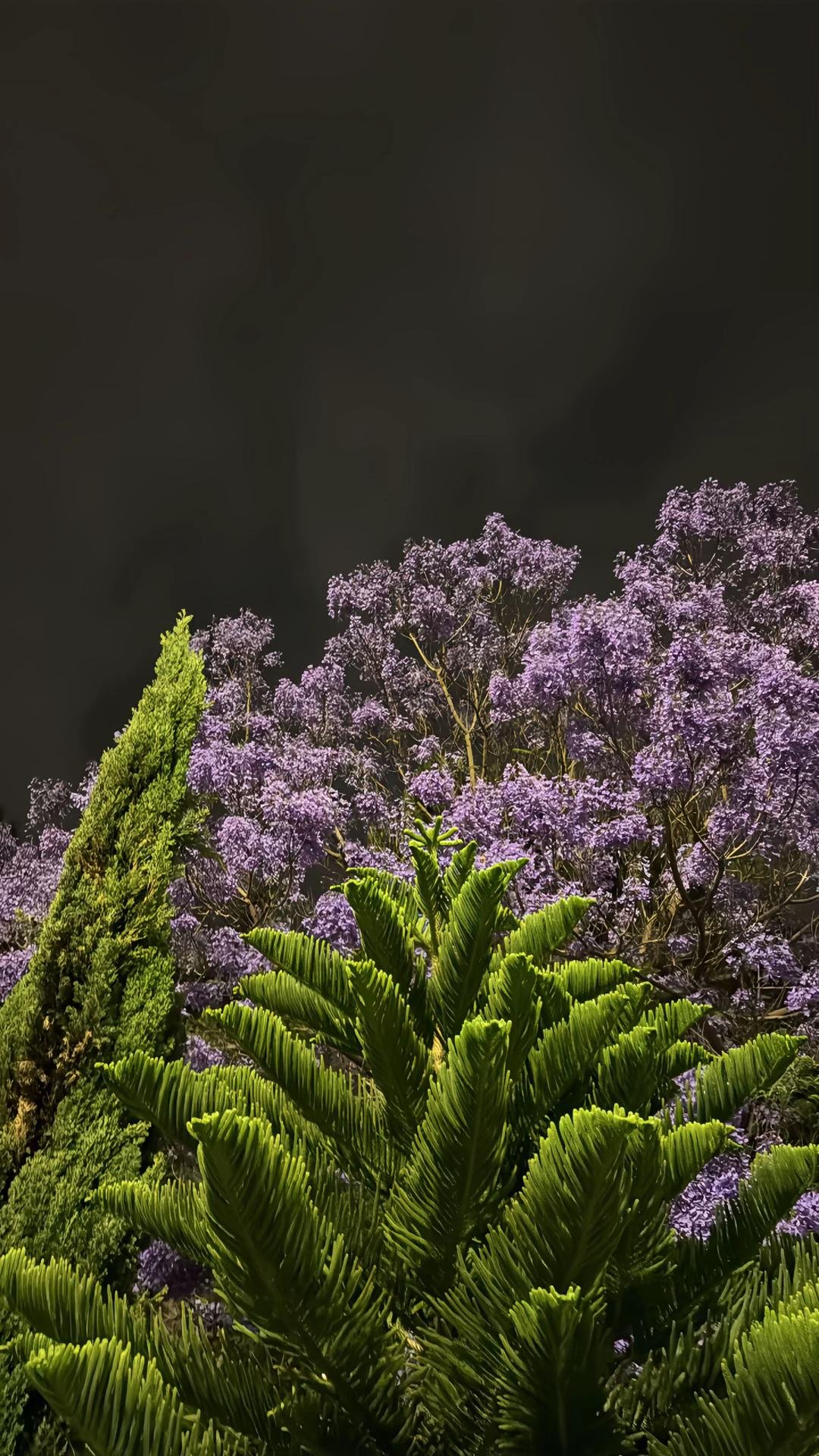 آثار حرص الوالدين على ترك الأبناء دون مراقبة على النمو السليم والسلوك الاجتماعي