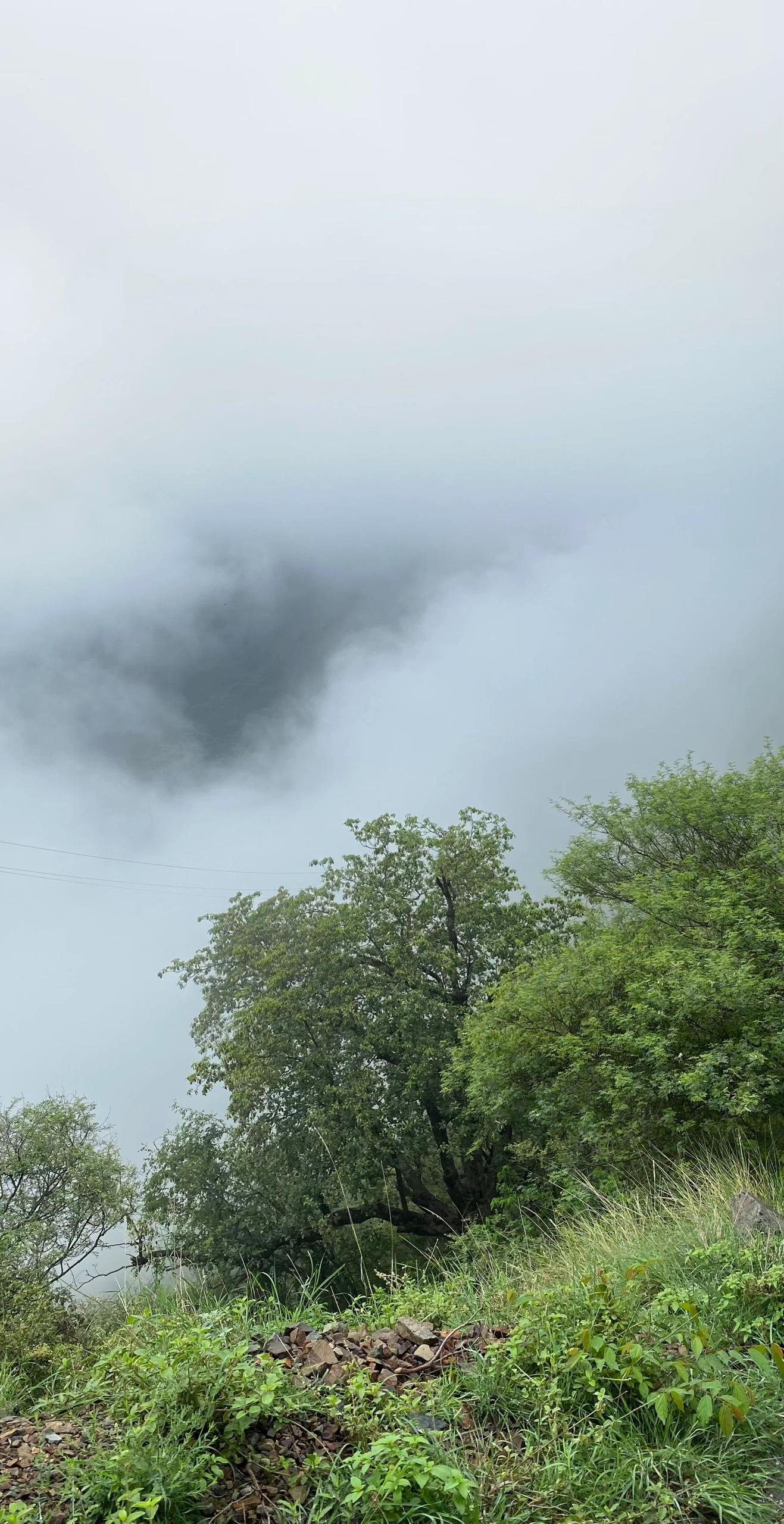 صباح الخير اقتباسات صباحيه