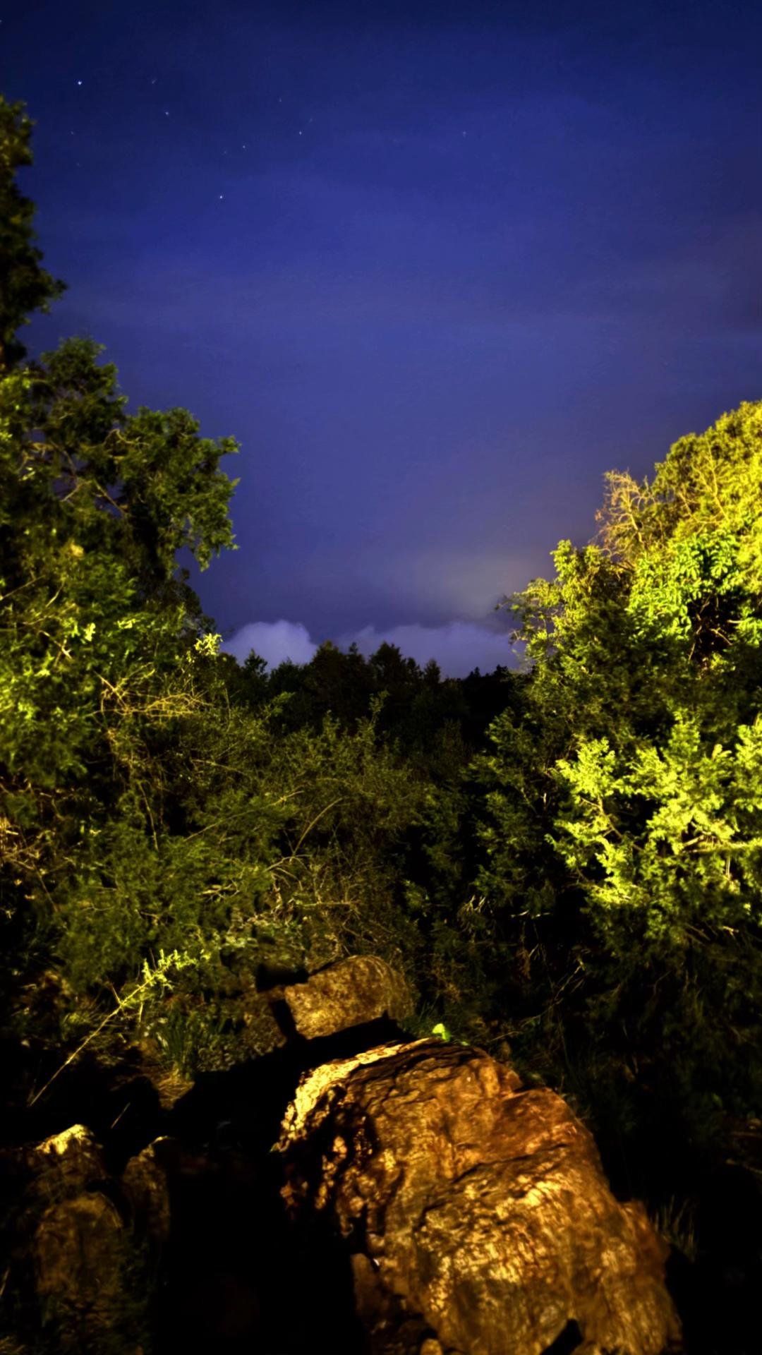 قصة العالم الفرنسي موريس بوكاي