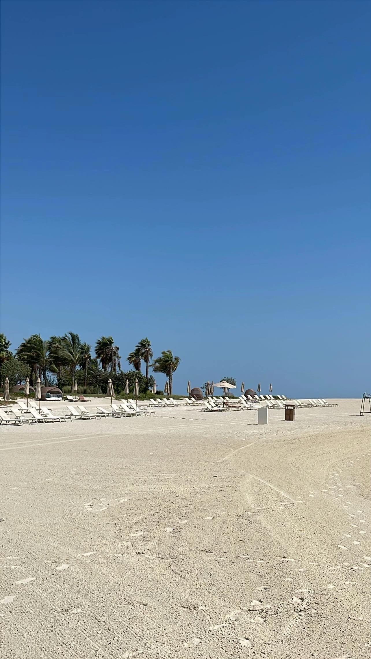 استكشاف البحر الأحمر: سياحة فاخرة ومستدامة