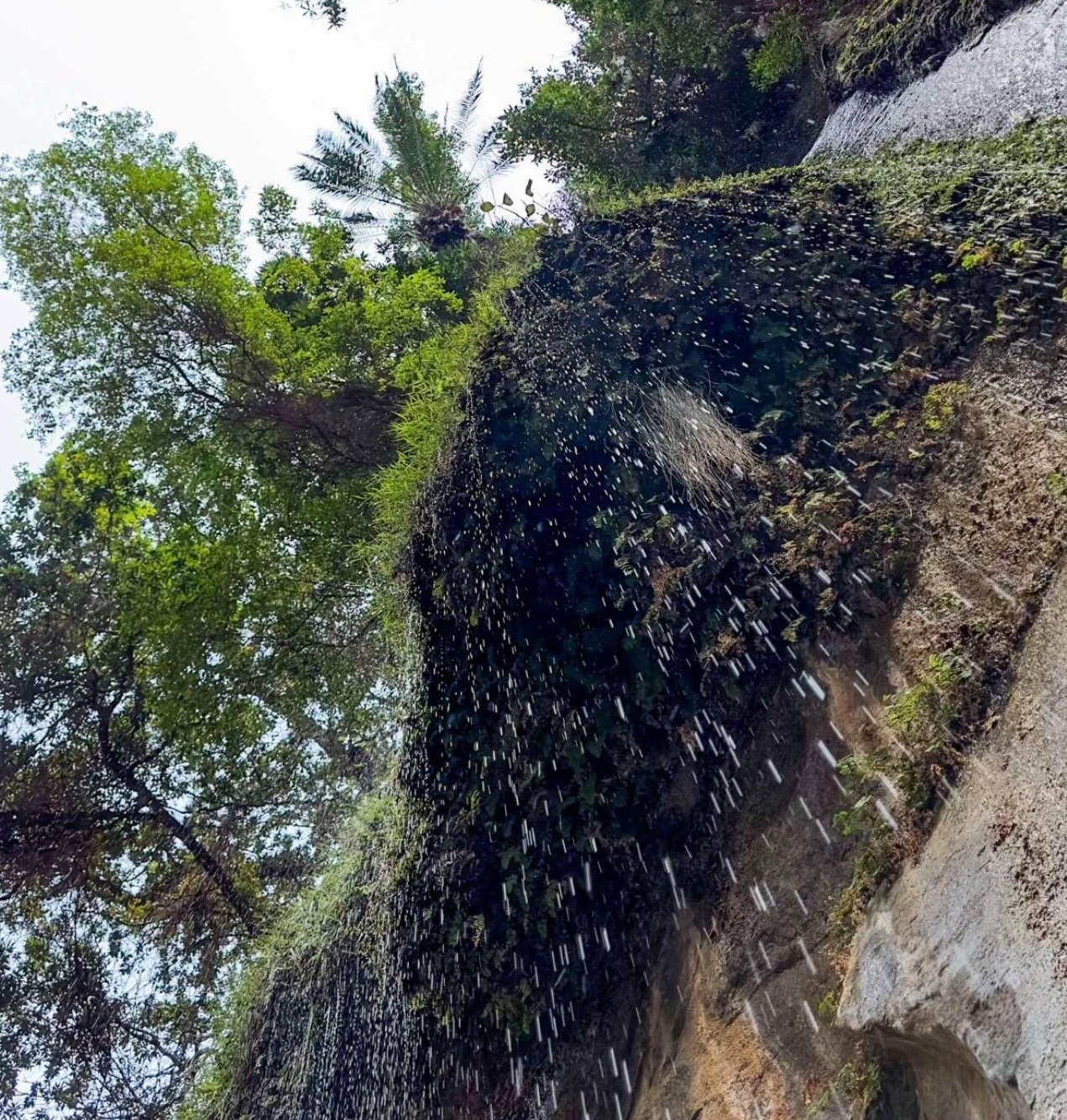 كلمات وخواطر رائعه