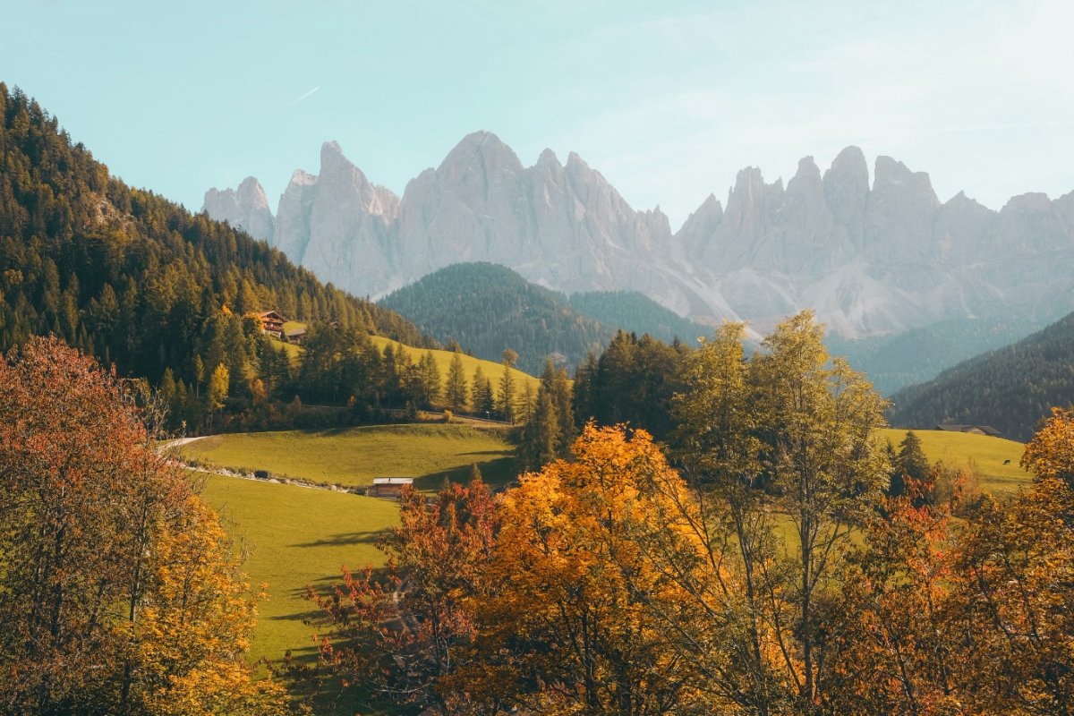 التصوير الفوتوغرافي للطبيعه