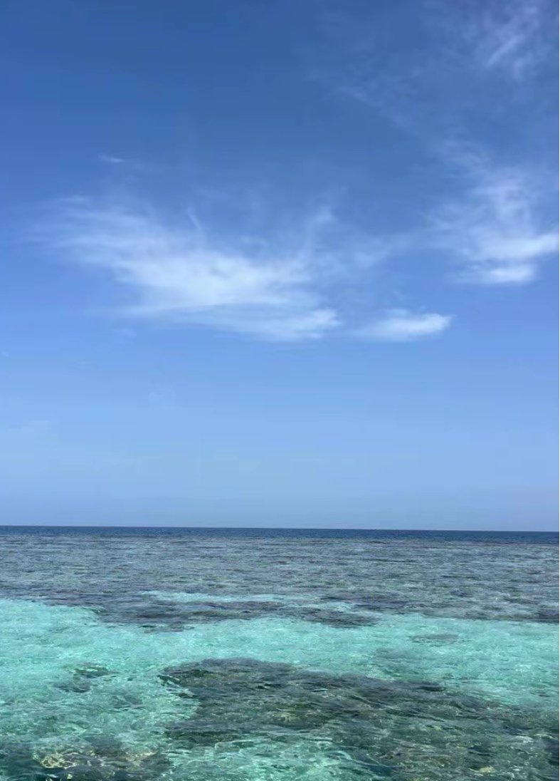 جزيرة بياضة: لؤلؤة خفية في البحر الأحمر