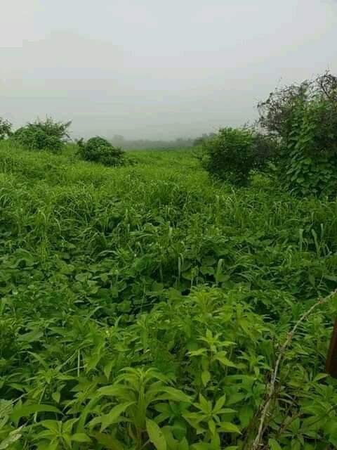 تأثيرتصوير الطبيعة على الوعي البيئي